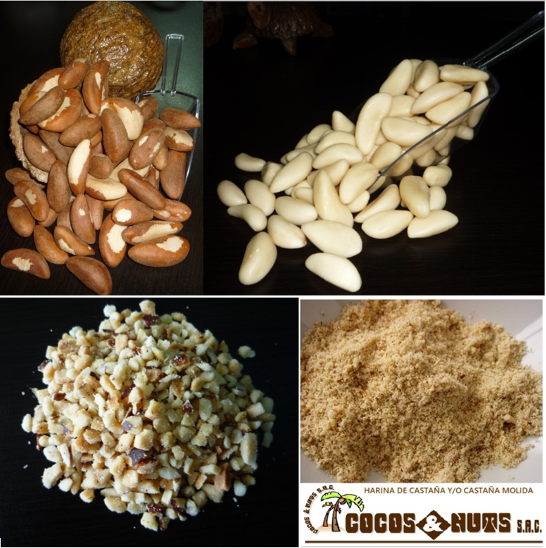 Castañas o nueces del Brasil enteras, peladas, trozadas y molidas