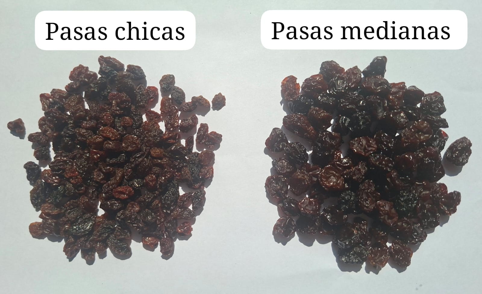 pasas medianas y pasas pequeñas BB por mayor en Lima, Perú